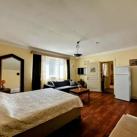 Villa Doga Icinde Havuzlu Huzuru Provincia di Istanbul